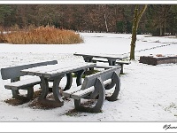 20101209_0071 2